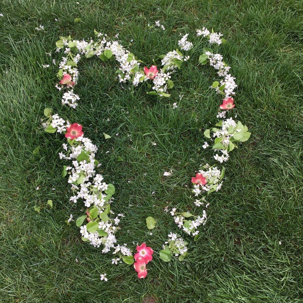 Meet your Posher, Grace